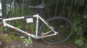 11350446_1636782996557916_7617447839407154333_n