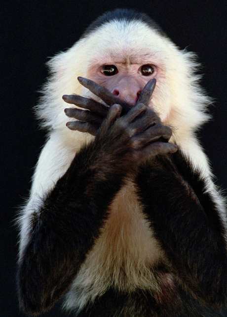 d45c8eef6aa126f8220d6535b0e01ff3