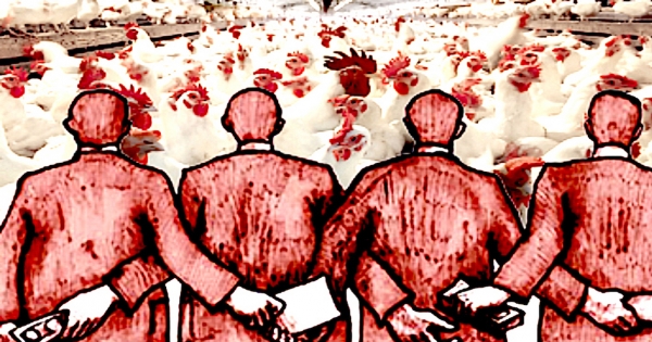 0fa02d694c4f8da50e7e64c6b5713ee1