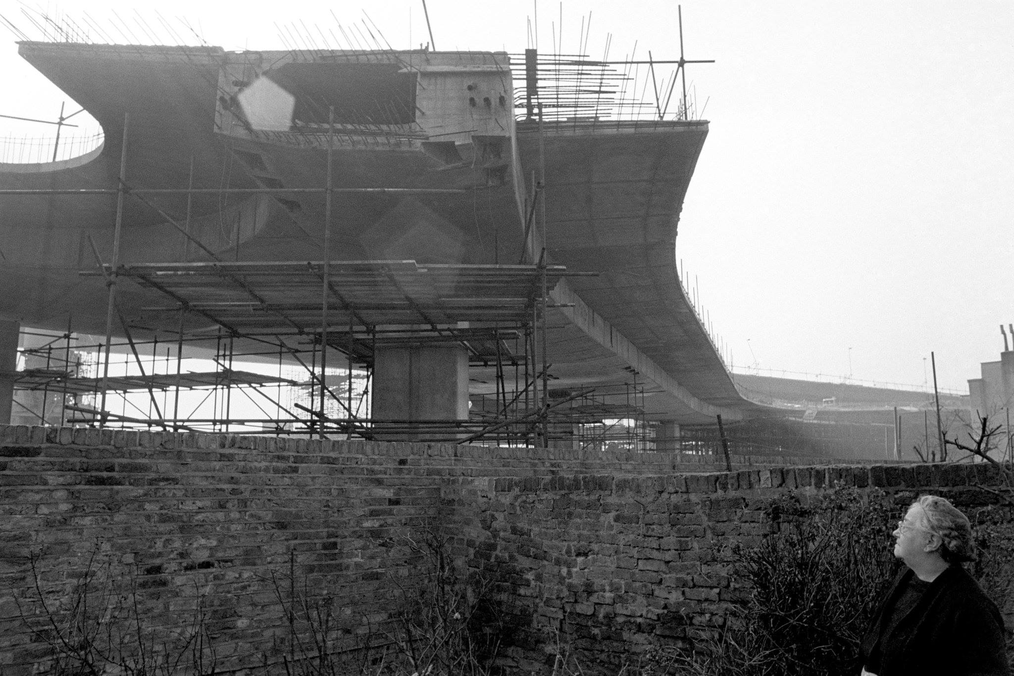 14853077_1693927480924027_4536999363378230277_o